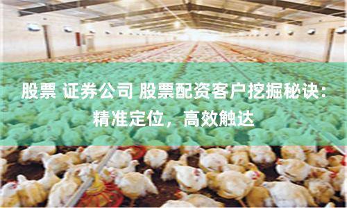 股票 证券公司 股票配资客户挖掘秘诀：精准定位，高效触达