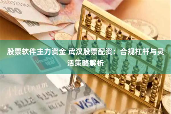 股票软件主力资金 武汉股票配资：合规杠杆与灵活策略解析